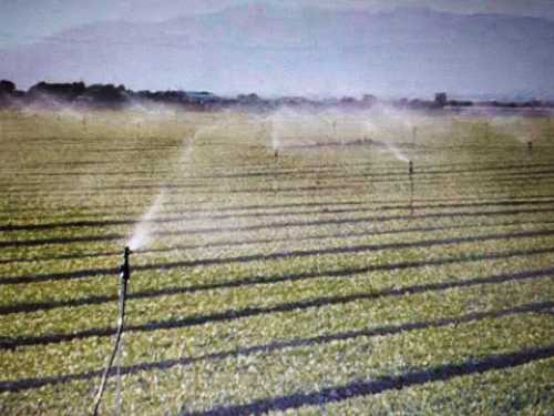 High Performance Drip Irrigation System Application: Agriculture