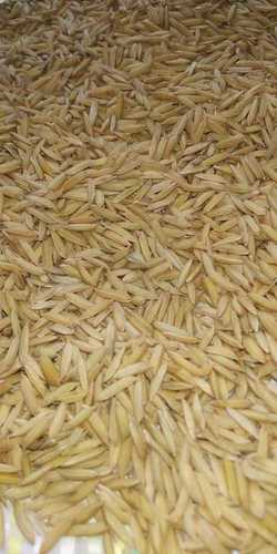 Organic N Shankar Brown Paddy Rice