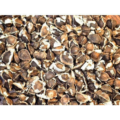 Pure Organic Moringa Seeds