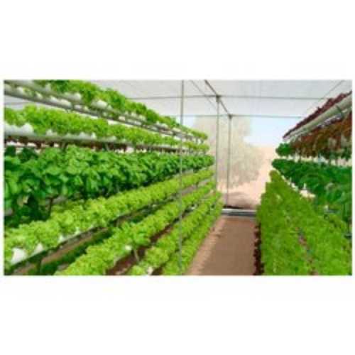 White Colour Hydroponic System Farming