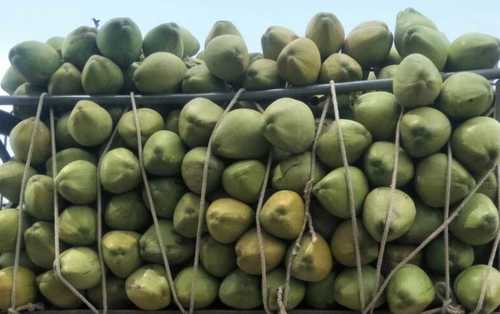 Natural Fresh Tender Coconut