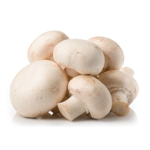 Farm Fresh White Mushroom