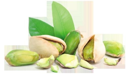 Common Indian Origin Pistachio Nuts