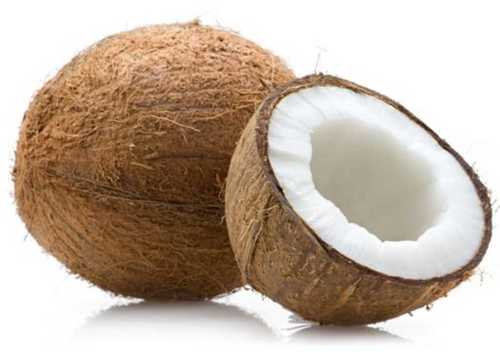 Semi Husked Natural Coconut