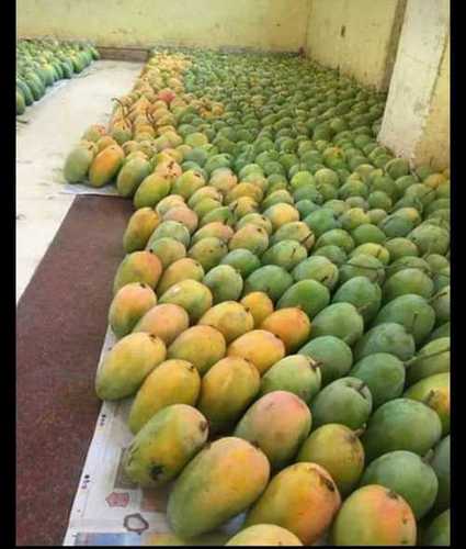 Tasty Organic Kesar Mango