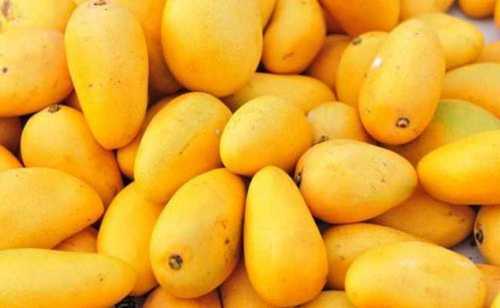 Fresh Natural Sweet Mangoes