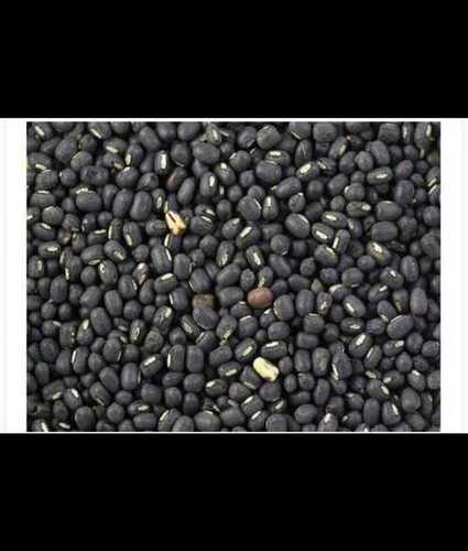 Common Pure Black Urad Dal