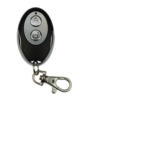 Remote Car Starter For Security System Size: Customized