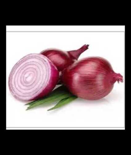 Farm Fresh Red Onions