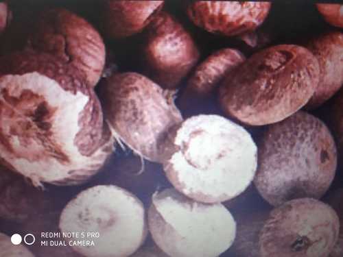 Brown Food Grade Betel Nuts