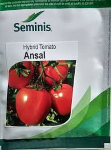 F1 Hybrid Tomato Seeds (Seminis)