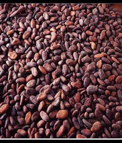 Export Quality Dried Cocoa Beans