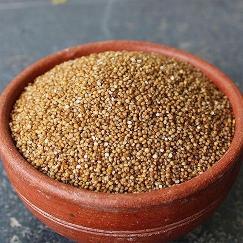 Indian Origin Organic Kodo Millet
