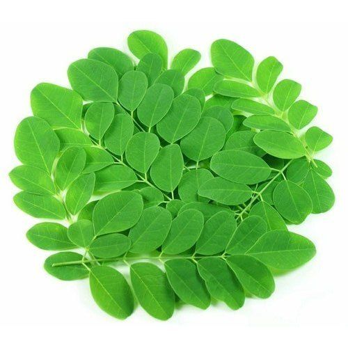 Insect Free Moringa Leaves