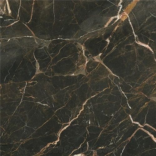 Brown Nero Saint Laurent Italian Marble