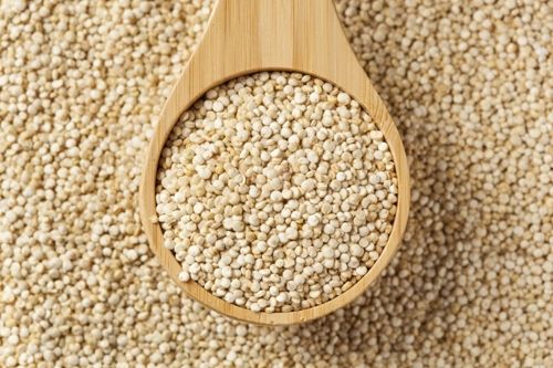 Organic Bold Quinoa Seeds