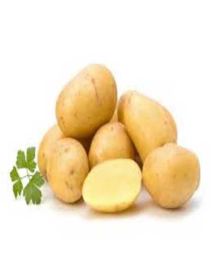 Round Export Quality Fresh Pukharaj Potato