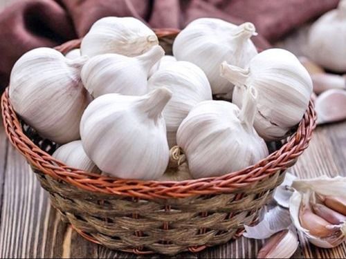 Wholesale Price Fresh Garlic