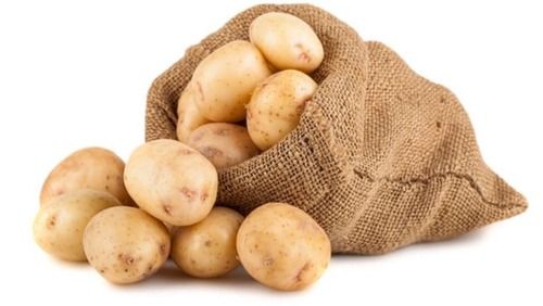 Wholesale Price Fresh Potato