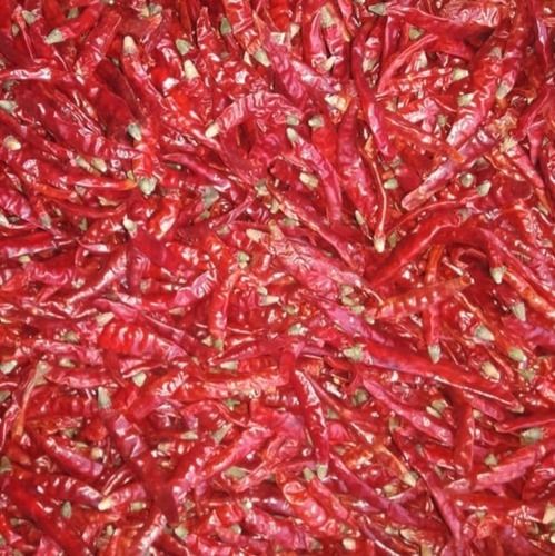 Dry Red Chilli