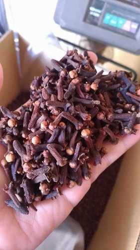 Impurity Free Dried Cloves