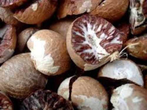 Dried Fresh Betel Nuts