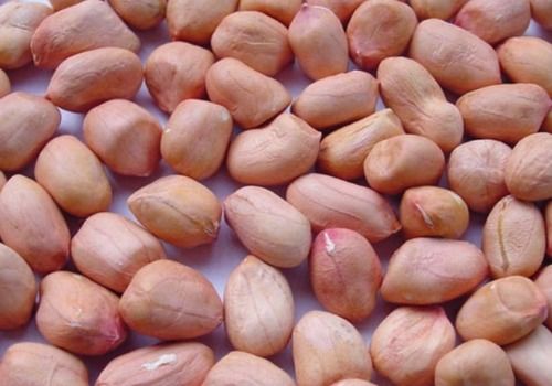 100% Dried Groundnut Seeds Grade: Food Grade