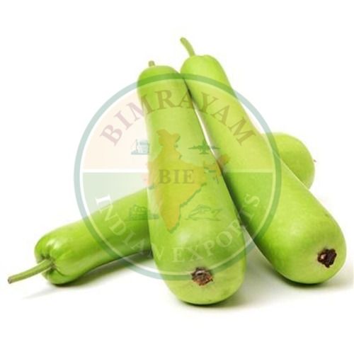 Fresh Bottle Gourd For Cooking Preserving Compound: Cool And Dry Place