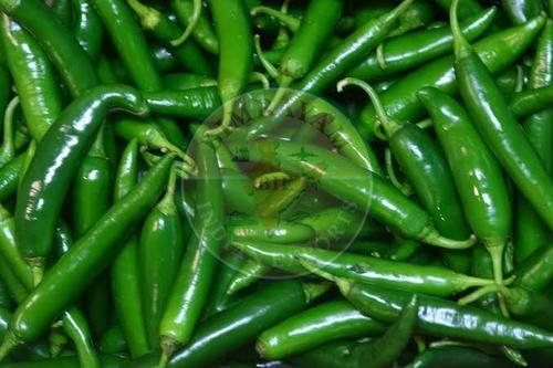 Fresh Green Chili For Cooking Preserving Compound: Cool And Dry Place