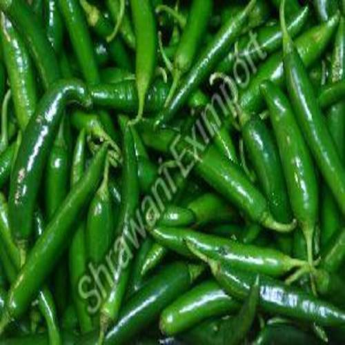 Fresh Organic Green Chilli Preserving Compound: Cool And Dry Place