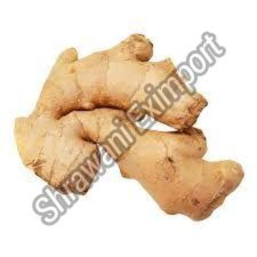 Fresh Raw Ginger for Food