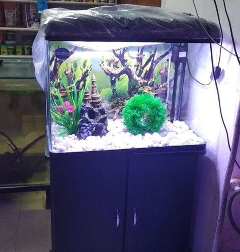 Home Decor Fish Aquarium at Rs 500/piece, Aquarium Fish Tank in Lucknow