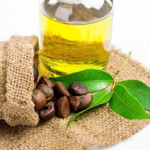 Camellia Oleifera Seed Oil