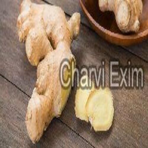 Fresh Organic Ginger For Food Preserving Compound: Cool And Dry Place