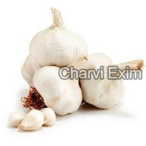 Fresh White Natural Garlic Preserving Compound: Cool And Dry Place