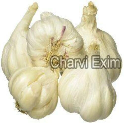 Fresh White Organic Garlic