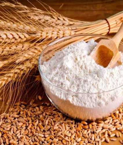 White Organic Indian Wheat Flour