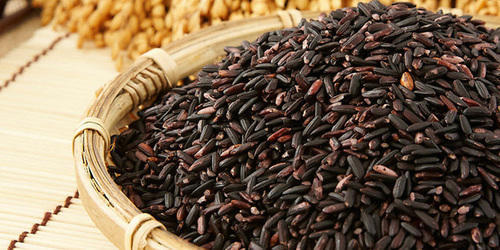 Short Grain Organic Black Rice