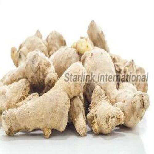 Fresh Brown Ginger For Food Preserving Compound: Cool And Dry Place