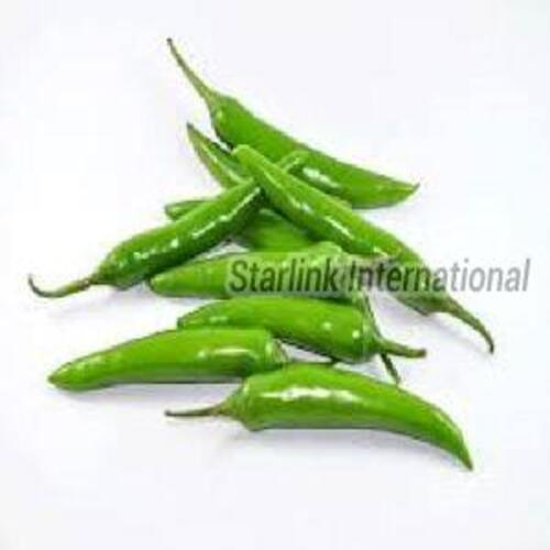 Fresh Organic Green Chilli - Light Green Spicy Flavor, Fried Stick Style | Hygienic Packing, Optimum Freshness