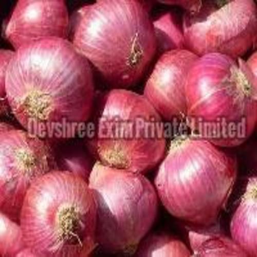 Fresh Red Onion for Cooking