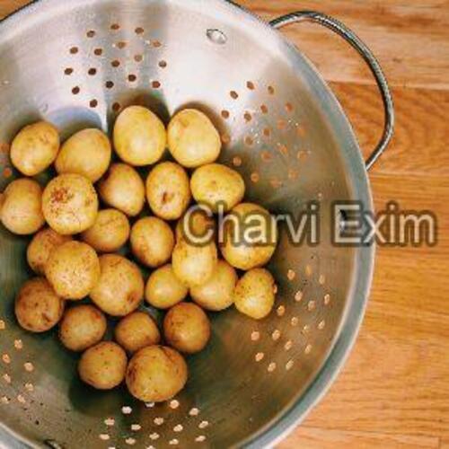 Fresh Small Potato For Cooking Preserving Compound: Cool And Dry Place