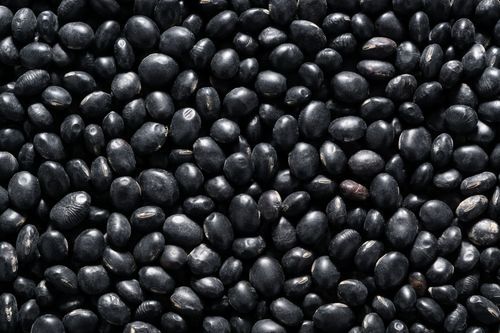 Organic Black Soya Beans