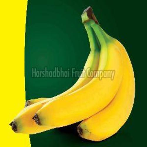 Yellow Fresh Cavendish Banana Fruits