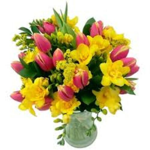 Many Color Fresh Freesia Flower For Decoration