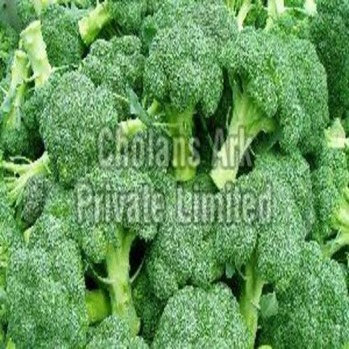 Fresh Broccoli - 2 kg, Green Color, 90% Maturity | Irregular Shape, Chopped, Cool and Dry Storage