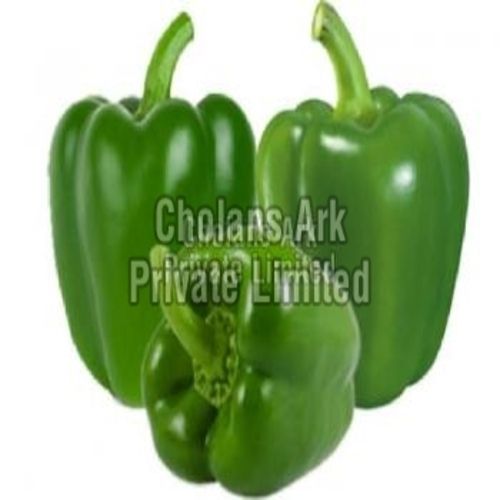 Bell Pepper - 5kg Fresh Spicy Green Yellow Red Chopped | Cooked, Irregular Shape, Store in Cool and Dry Place