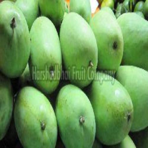 Fresh Green Mango Fruits