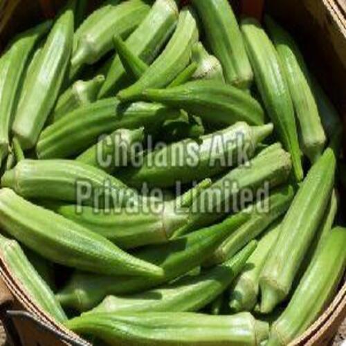 Fresh Green Okra for Cooking