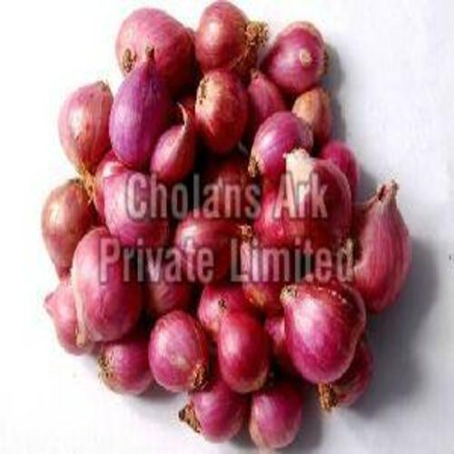 Fresh Red Onion For Cooking Preserving Compound: Cool And Dry Place